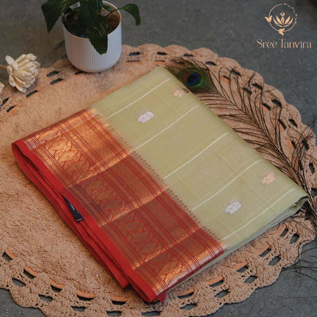 PURE ORGANZA SAREE